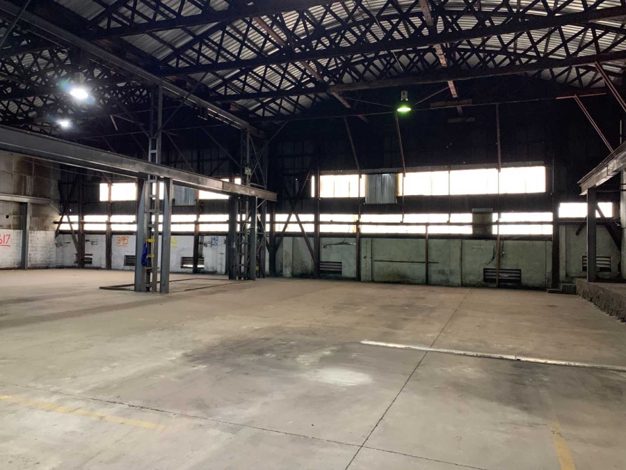 To Let commercial Property for Rent in Bella Vista Western Cape